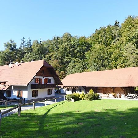 Domacija Seruga Countryside Hotel Ново-Место Экстерьер фото