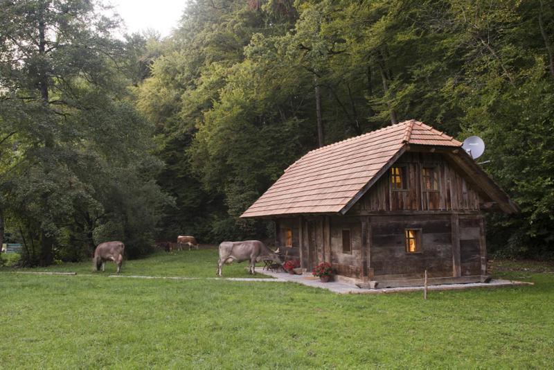 Domacija Seruga Countryside Hotel Ново-Место Экстерьер фото